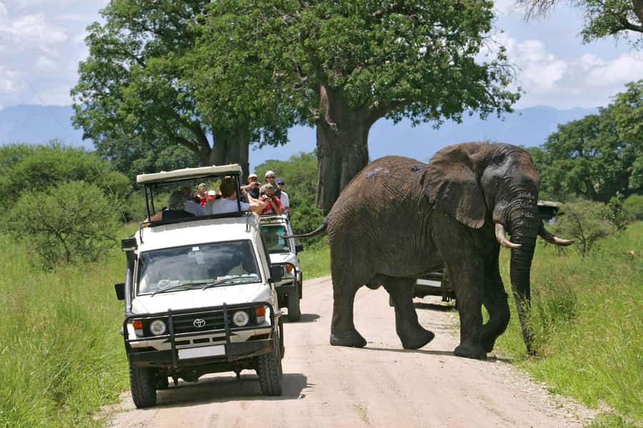 From Nairobi: 2-Day Amboseli National Park Safari - Day 1: 7 am pickup from Nairobi, then the Athi Plain route south