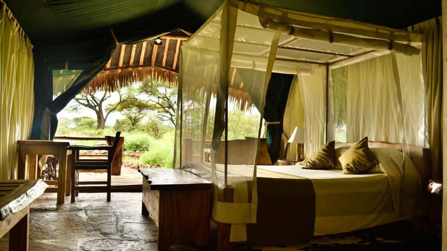 From Nairobi: 2-Day Amboseli National Park Safari - Day 2: sunrise Kilimanjaro colors, then early elephants crossing
