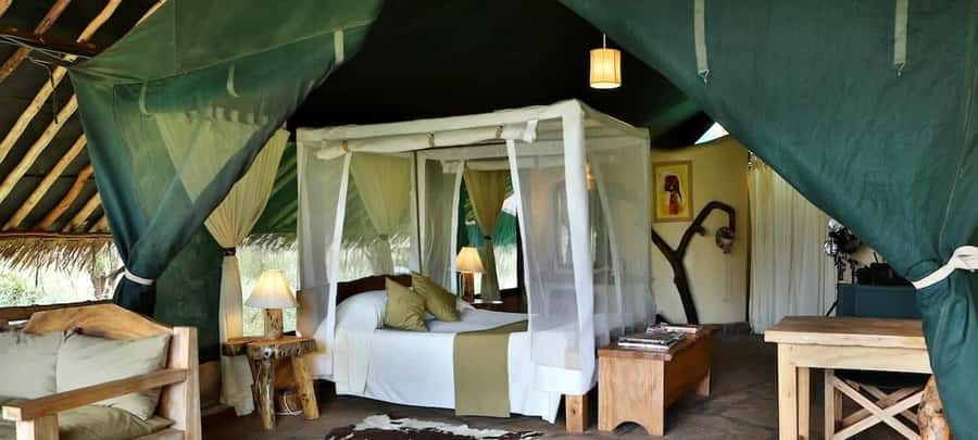 From Nairobi: 2-Day Amboseli National Park Safari - Who this safari fits best, and who should look elsewhere