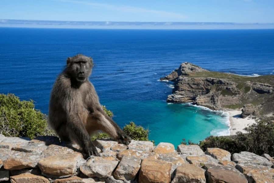 From Nairobi: 2-Day Naivasha Safari with Accommodation - Price and Value: Is $248 Per Person Worth It?