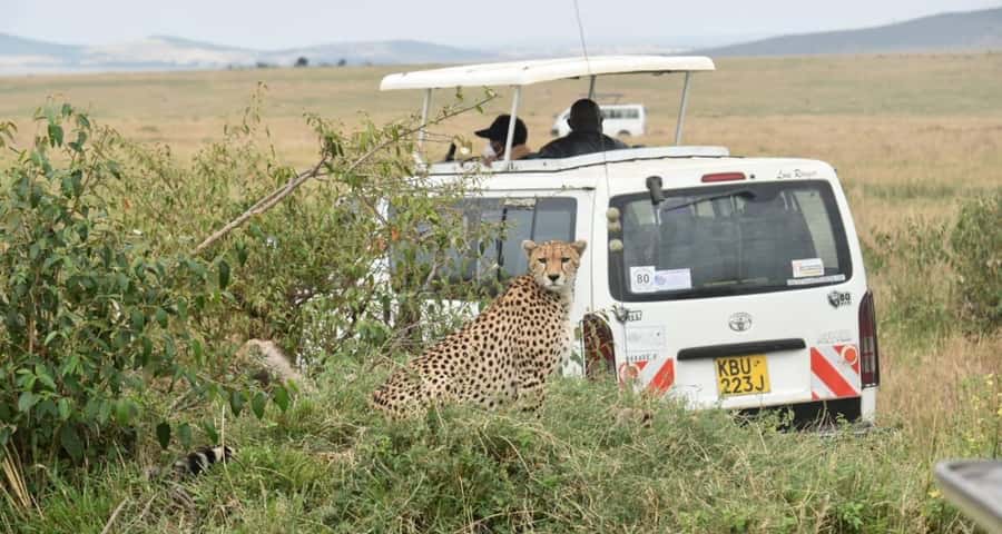 From Nairobi : 2-Days 1-Night Masai Mara Private 4WD Safari - Why This Private Masai Mara Safari Works So Well on a Short Trip