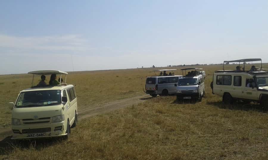 From Nairobi: 3 Days, 2 Nights Maasai Mara Group Safari - Nairobi to Maasai Mara, and the rhythm of a short safari