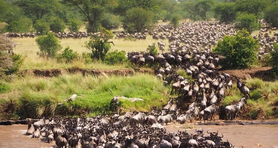 From Nairobi:3-Days 2-Nights Maasai Mara Group Safari in 4WD - Maasai Mara in 3 days: what this itinerary gets right