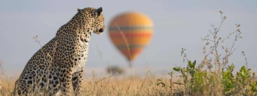 From Nairobi:3-Days 2-Nights Maasai Mara Group Safari in 4WD - Nairobi to Maasai Mara, plus the Great Rift Valley viewpoint break