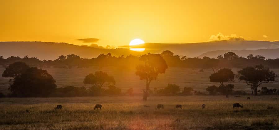 From Nairobi: 3 Days 2 Nights Masai Mara Group Safari - Where you sleep: private tents that still feel like a real room