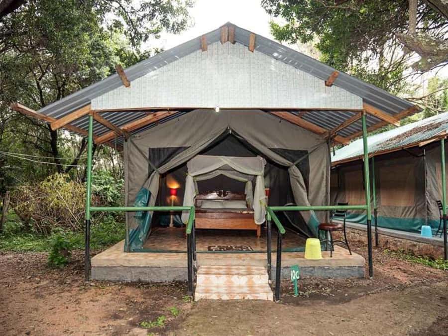 From Nairobi: 3 Days 2 Nights Masai Mara Group Safari - Guides and communication: what to expect when things shift
