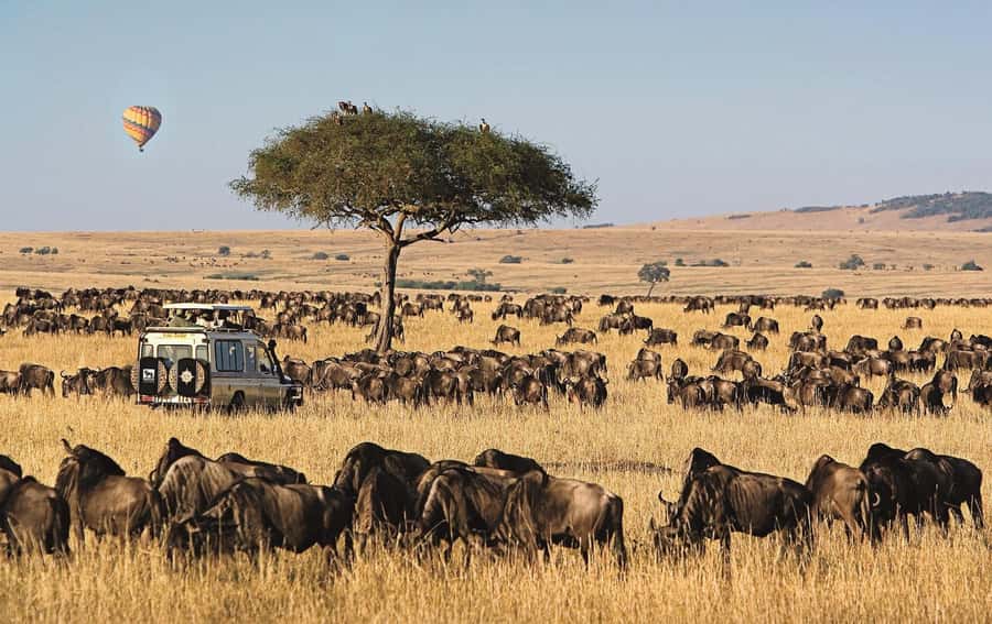 From Nairobi: 4-Day Maasai Mara and Lake Nakuru Group Safari - Where this safari fits best, and where it might not