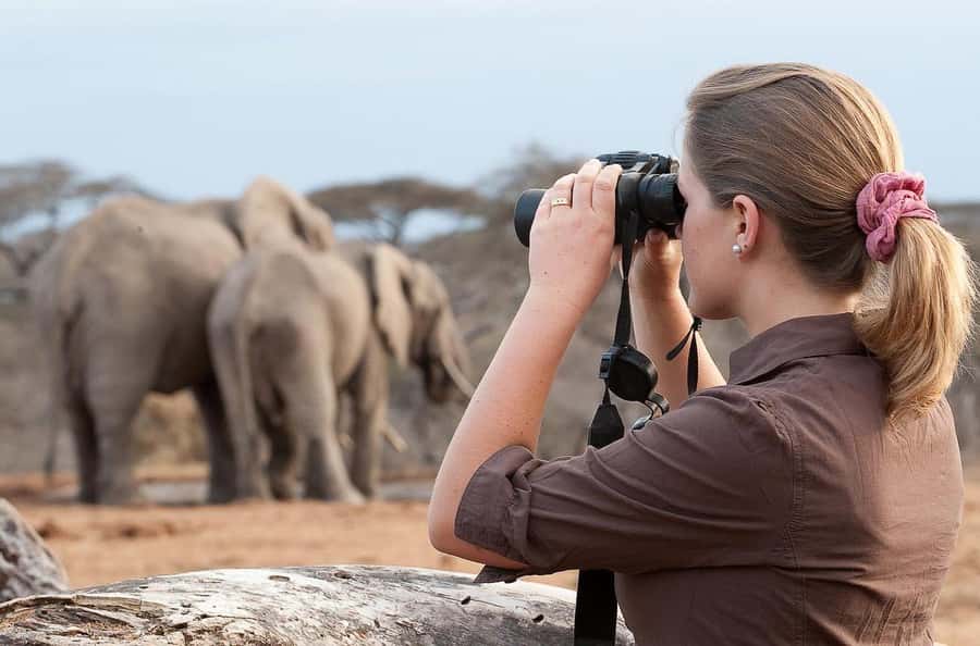 From Nairobi: Day Trip to Amboseli National Park - Arrival and the first viewing push: how the park time is used