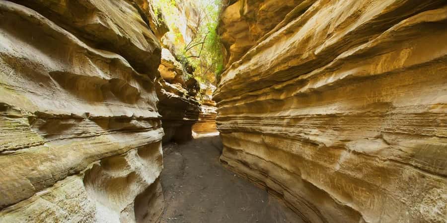 From Nairobi: Day Trip to Lake Naivasha and Hell's Gate - Key highlights worth your time