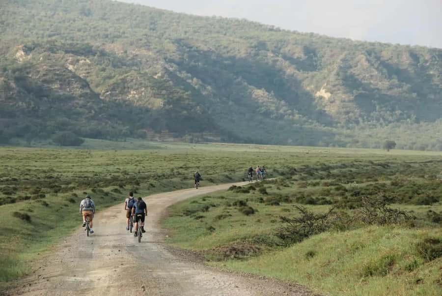 From Nairobi: Day Trip to Lake Naivasha and Hell's Gate - Lunch and coffee break: refuel before Hell’s Gate