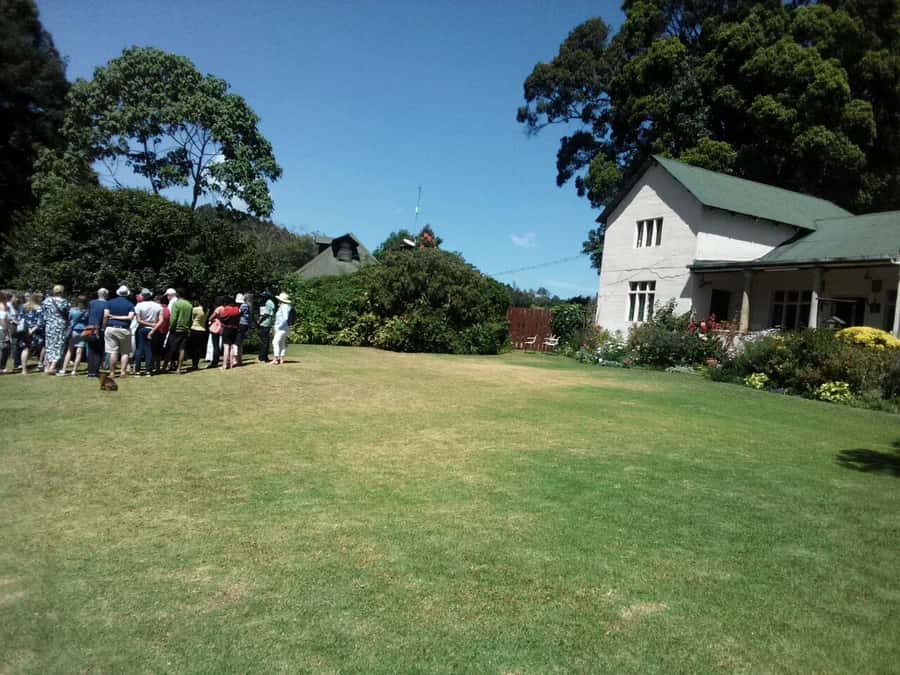 From Nairobi: Kiambethu Tea Farm Tour & Lunch - Walking the plantation and spotting colobus monkeys