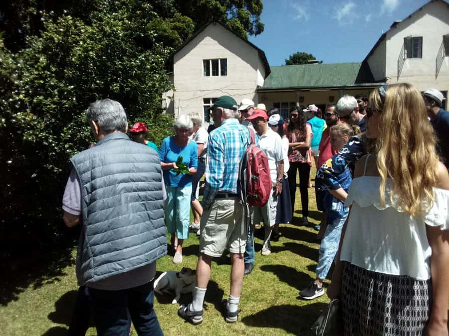 From Nairobi: Kiambethu Tea Farm Tour & Lunch - A 3-course lunch and afternoon tea, what you are actually paying for