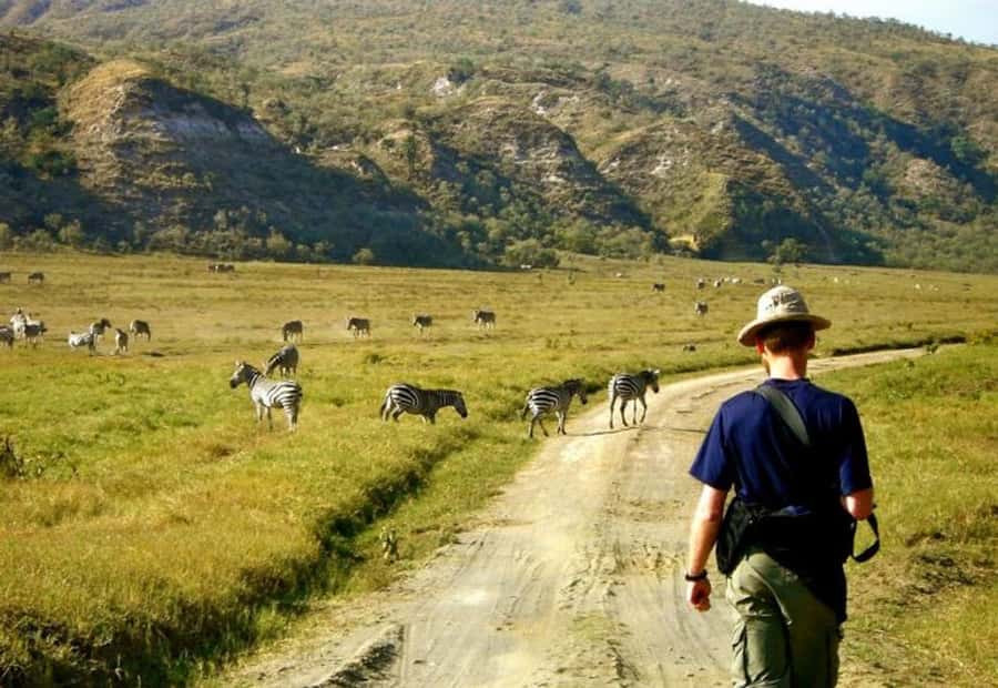 From Nairobi: Lake Naivasha and Hell's Gate Park Day Tour - Choosing the walking or horse riding option instead of biking