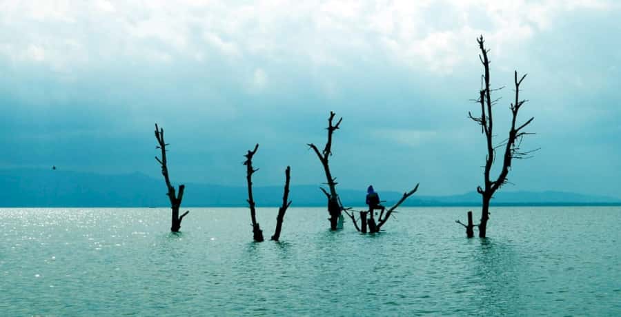 From Nairobi: Lake Naivasha and Hell's Gate Park Day Tour - Price and logistics: is $280 per person a fair deal?