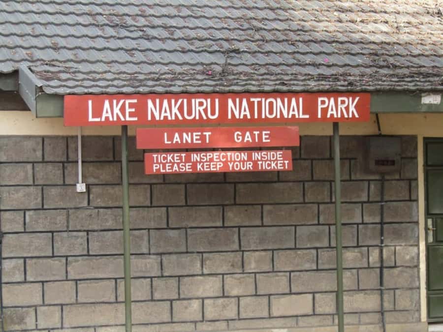 From Nairobi: Lake Nakuru National Park Full-Day Tour - Lake Nakuru soda lake and flamingos: the bird sanctuary angle