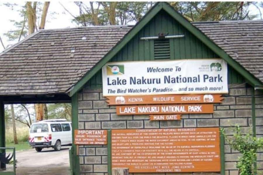 From Nairobi: Lake Nakuru National Park Full-Day Tour - The Rift Valley viewpoint stop: quick break, real payoff
