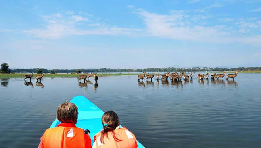 From Nairobi: Lakes Nakuru & Naivasha National Park Day Tour - Entering the park, and what your guide is really doing
