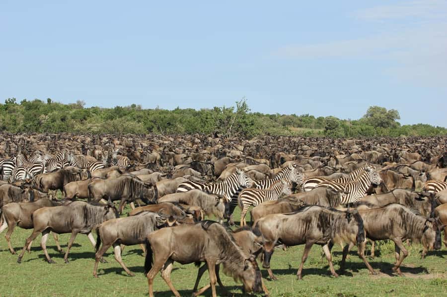 From Nairobi: Masai Mara 3-day Camping Safari by Jeep - First Stop, The Drive Out of Nairobi