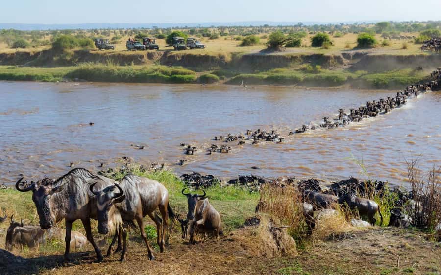 From Nairobi: Masai Mara 3-day Camping Safari by Jeep - Price and Logistics: Budget for Park Fees, Not Just the Safari