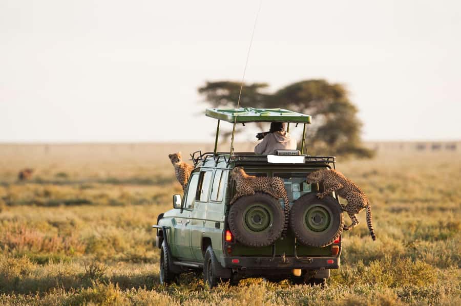 From Nairobi: Masai Mara 3-day Camping Safari by Jeep - A Quick Warning About Schedule Confirmations