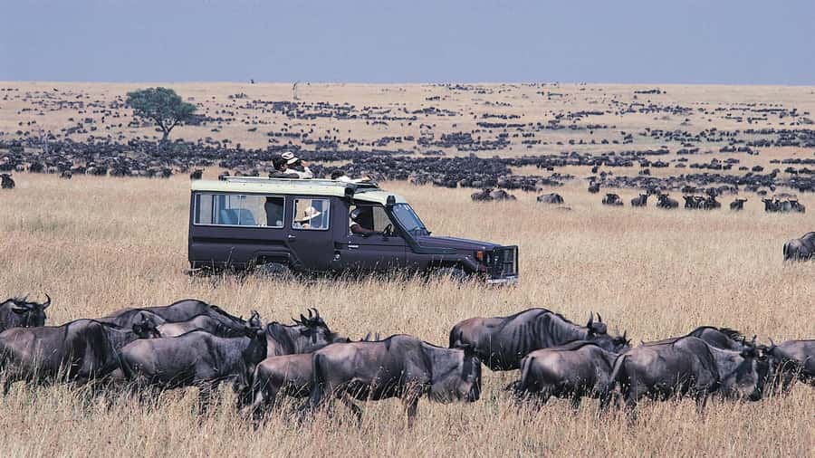 From Nairobi: Masai Mara 3-day Camping Safari by Jeep - Day 1: Nairobi to Masai Mara, First Game Drive and Camp Check-In