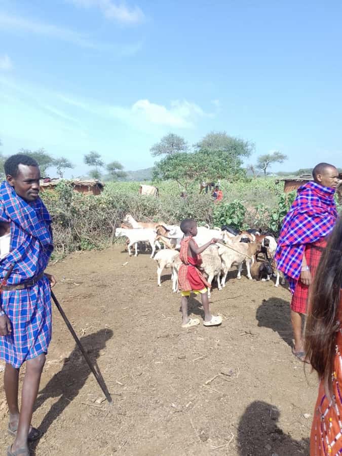 From Nairobi: Masai Tribe Village Visit - Souvenirs and Photos: How to Avoid the Most Common Confusion