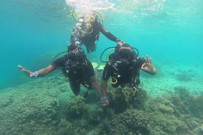 Full Day Dolphin Watching with Snorkeling in Wasini - Wasini Dolphin Watching and Snorkeling: What This Day Really Gives You