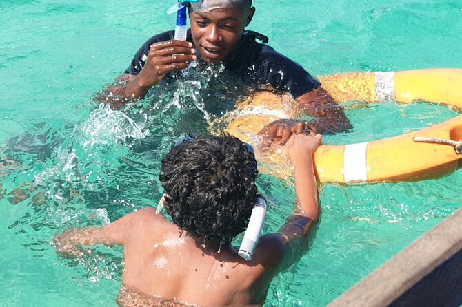 Full Day Dolphin Watching with Snorkeling in Wasini - Price and value: is $113 a fair deal?