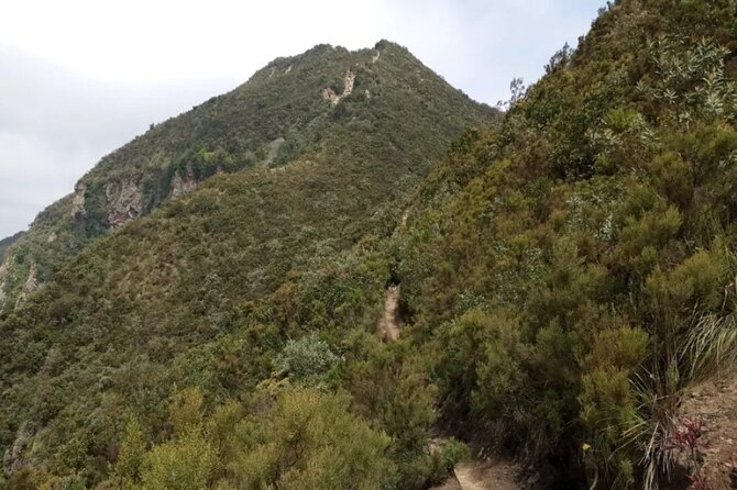 Full-Day Hiking Guided Adventure at Mount Longonot - The Climb Up: Steep Sections, Dust, Gravel, and Pacing