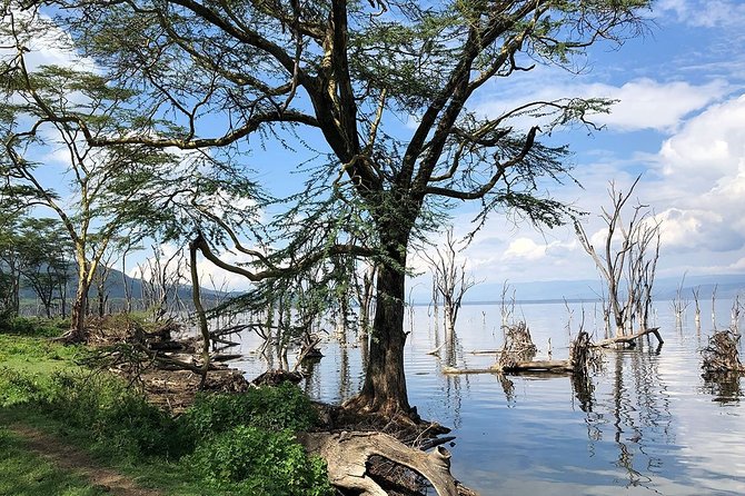 Full-Day Lake Nakuru National Park from Nairobi - What You Might See, and How to Keep Your Expectations Balanced