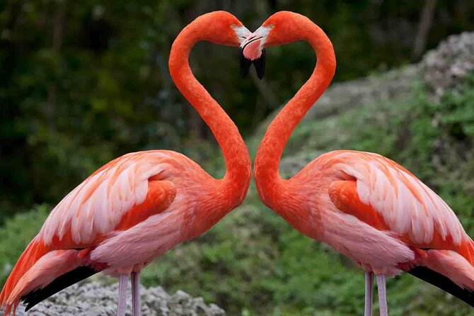 Full-Day Lake Nakuru National Park Private Tour from Nairobi - The Great Rift Valley viewpoint stop (and why it’s worth a pause)