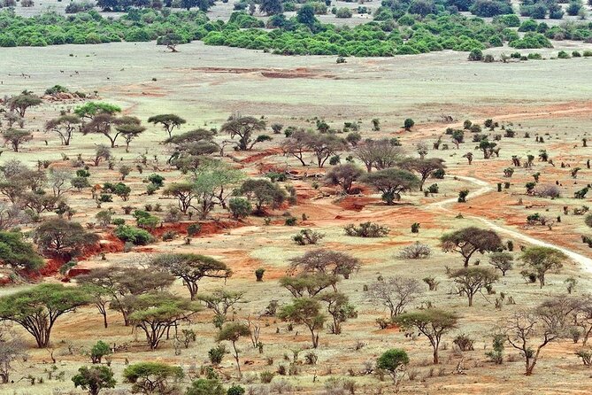 Full Day Private Tour of Tsavo East National Park from Mombasa - Aruba Dam: The Quick Wildlife Stop That Changes the Mood