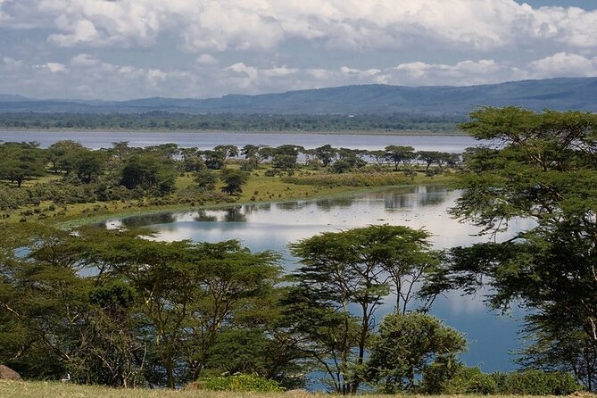 Full day private tour to Hells Gate National park from Nairobi. - What you’re really paying for: $80 per person value check