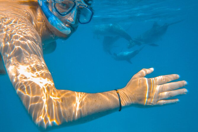 Full-Day Special Wasini Island Tour with Snorkeling and Lunch - Key things to know before you go