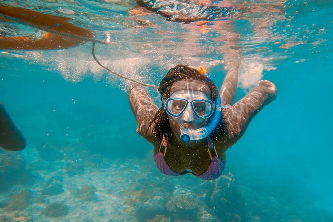 Full-Day Special Wasini Island Tour with Snorkeling and Lunch - The small-boat setup that keeps your day from feeling chaotic