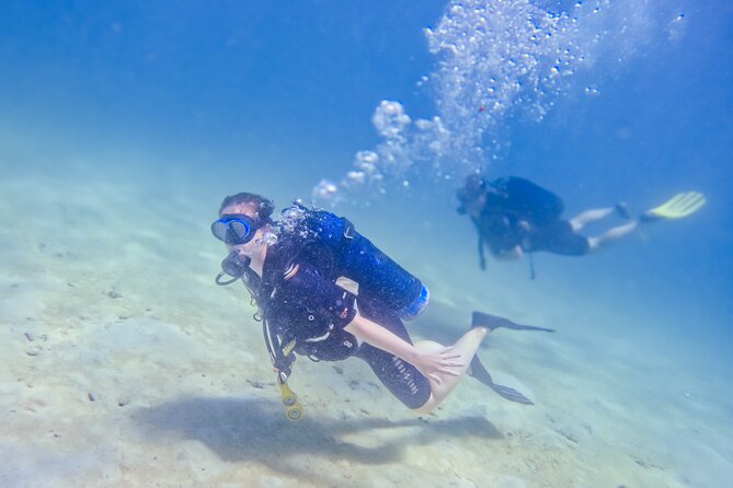 Full-Day Special Wasini Island Tour with Snorkeling and Lunch - Slave Caves: the short history stop (plan your focus)