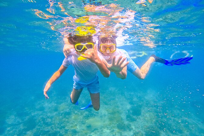 Full-Day Special Wasini Island Tour with Snorkeling and Lunch - Wasini Island lunch and Coral Garden time you will actually remember