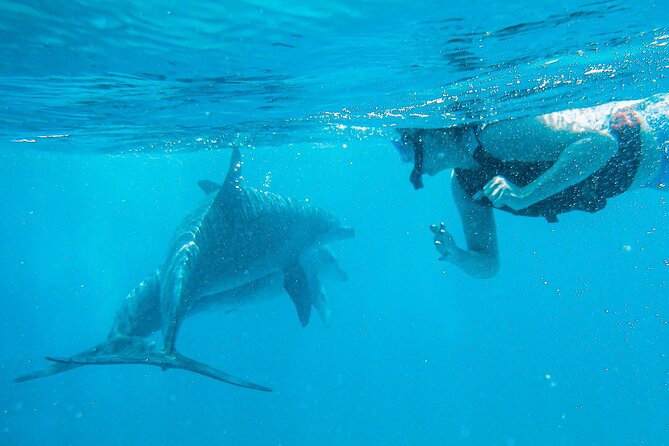 Full-Day Special Wasini Island Tour with Snorkeling and Lunch - Snorkeling gear, prescription masks, and how guides keep it safe