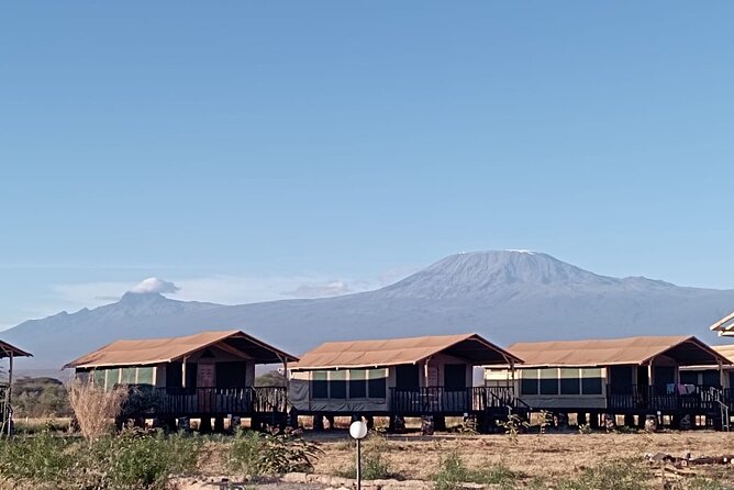 Full Day Tour in Amboseli National Park from Nairobi - Why the 5am Start Changes the Whole Day
