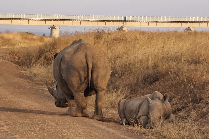 Full Day Tour in Amboseli National Park from Nairobi - Exiting the Park and the Maasai Village Add-On