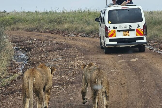 Full Day Tour in Amboseli National Park from Nairobi - Group Size, Timing, and How the Day Feels in Real Life