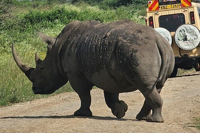 Full Day Tour in Amboseli National Park from Nairobi - Price and Value: Is $140 Worth It?