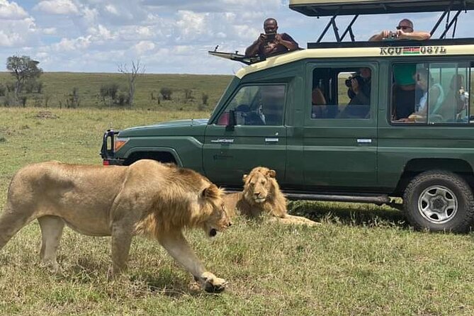 Full Day tour to Lake Nakuru National Park From Nairobi - Lunch at Lake Nakuru Lodge area: where you eat and how to plan your break
