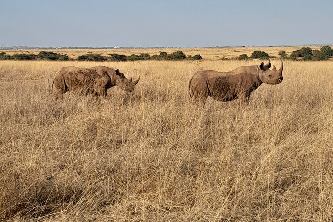 Full Day tour to Lake Nakuru National Park From Nairobi - Getting value for the $160 price: what’s included and what adds up