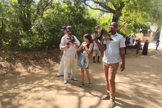Gede Ruins & Malindi Tour - Weather Rules and Why They Matter for Gede Ruins