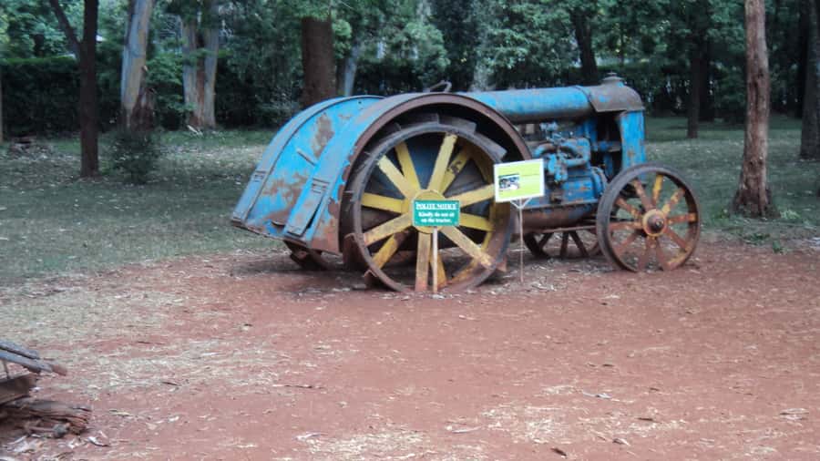 Giraffe Center and Karen Blixen Museum Tour from Nairobi - Giraffes and Karen Blixen in One Easy Half Day
