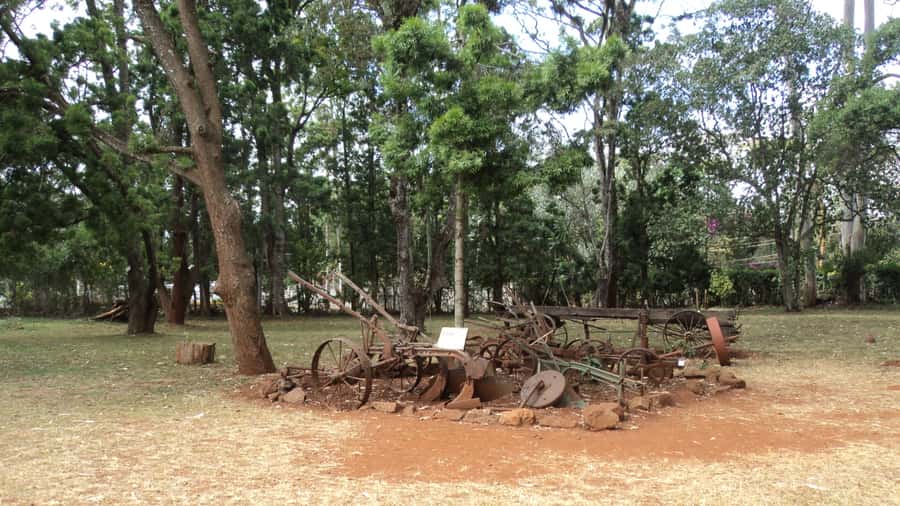 Giraffe Center and Karen Blixen Museum Tour from Nairobi - Walking Toward the Gogo River and Hand Feeding Pellets
