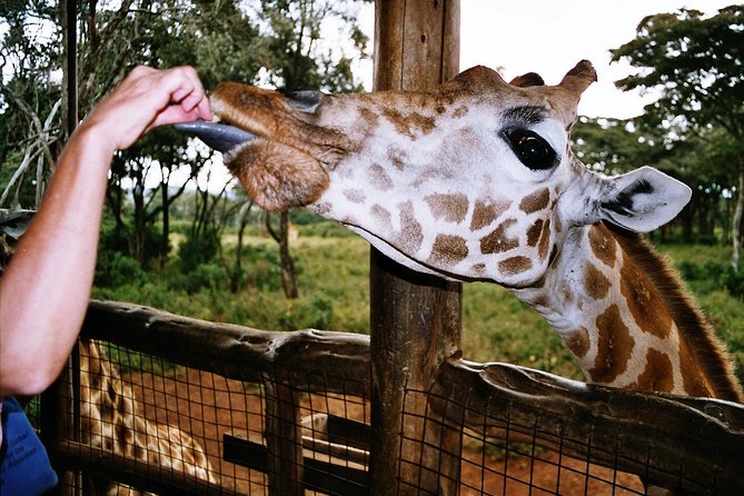 Giraffe center, Elephant Orphanage and Beads Center - Stop 3: Kazuri/Kobe Beads Factory, Pottery, and Single-Mother Craft