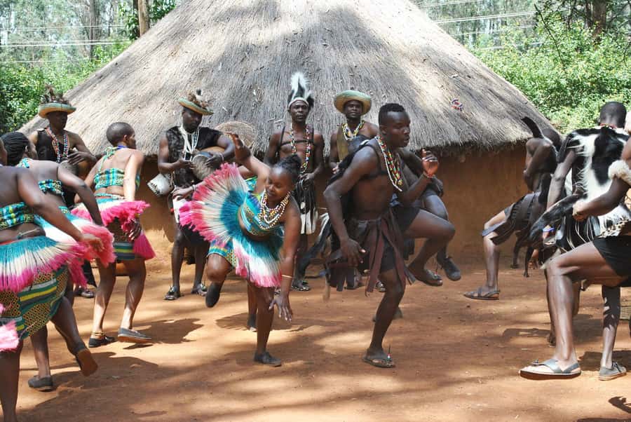 Giraffe Center, Elephant Orphanage and Bomas of Kenya Tour - Sheldrick Wildlife Trust: Baby Elephants and Strict Hours