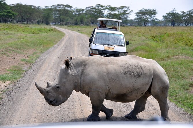 Giraffe Center, Elephant Orphanage and Nairobi National Park Day Tour Nairobi - What You Get for the $245 Price (And Where It Actually Saves You)